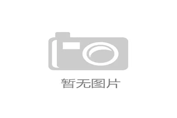 草台班子外包安保队伍能否承载十万人量级疏散重任